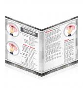 Large Tabloid Booklets Simple Theme #0031