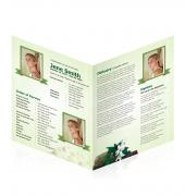 Large Tabloid Booklets Simple Theme #0032
