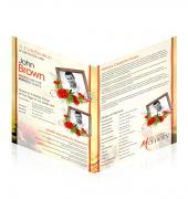 Large Tabloid Booklets Simple Theme #0089