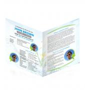 Legal Single Fold Programs Simple Theme #0060