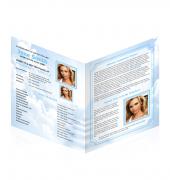 Legal Single Fold Programs Simple Theme #0063