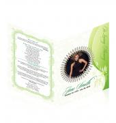 Large Tabloid Booklets Simple Theme #0014