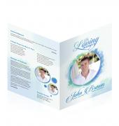 Large Tabloid Booklets Simple Theme #0086